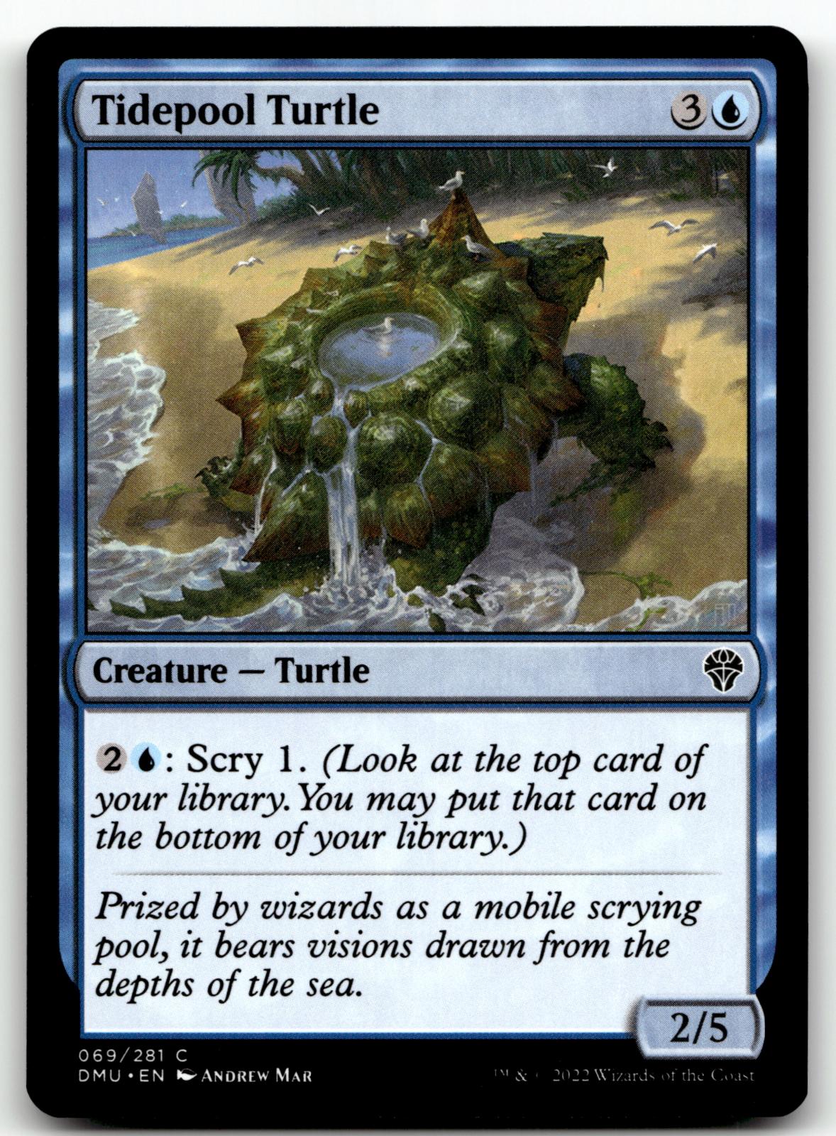Tidepool Turtle 69 Common Dominaria United Magic: The Gathering Near Mint