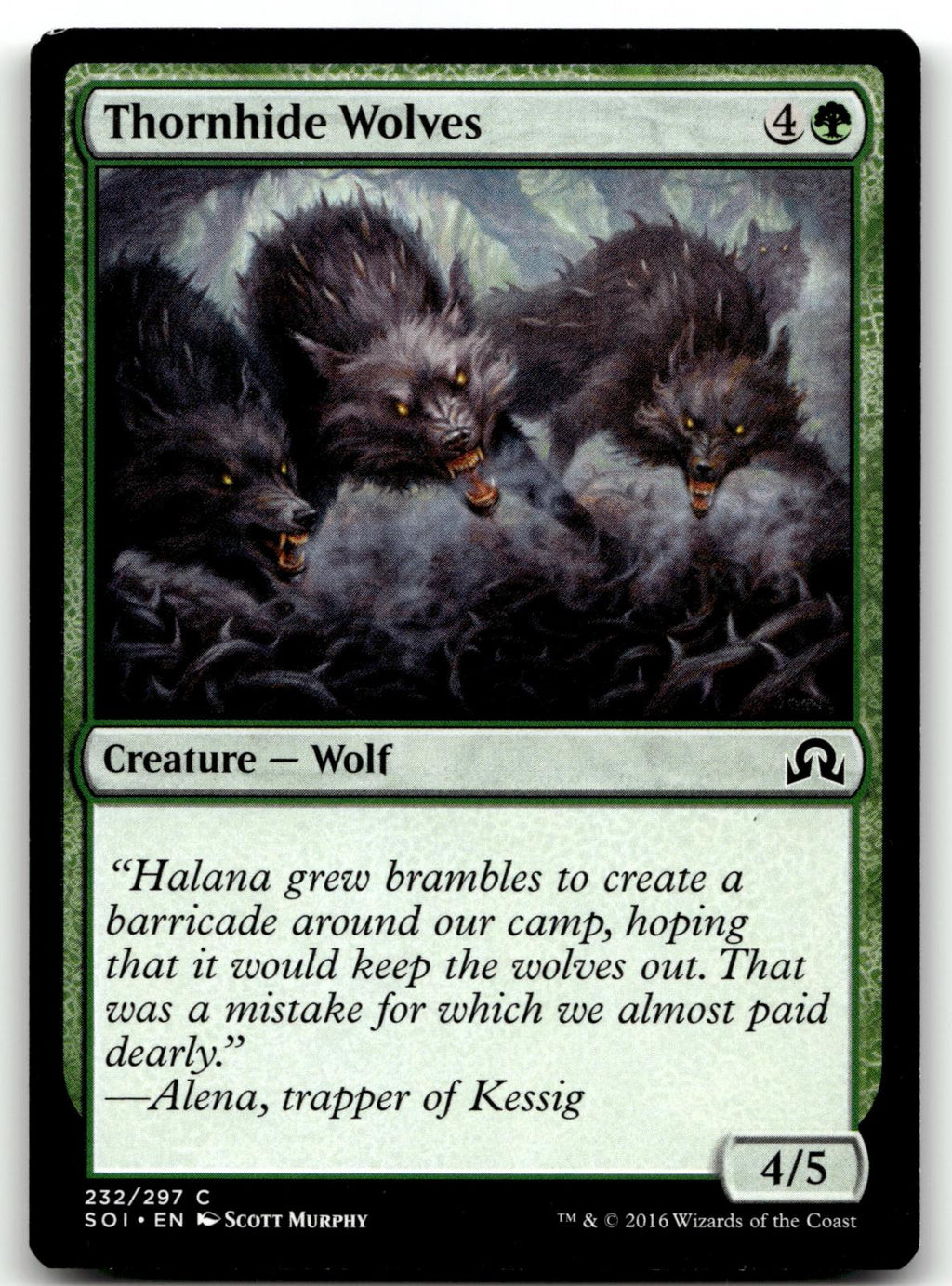 Thornhide Wolves 232 Common Shadows over Innistrad Magic: The Gathering NM