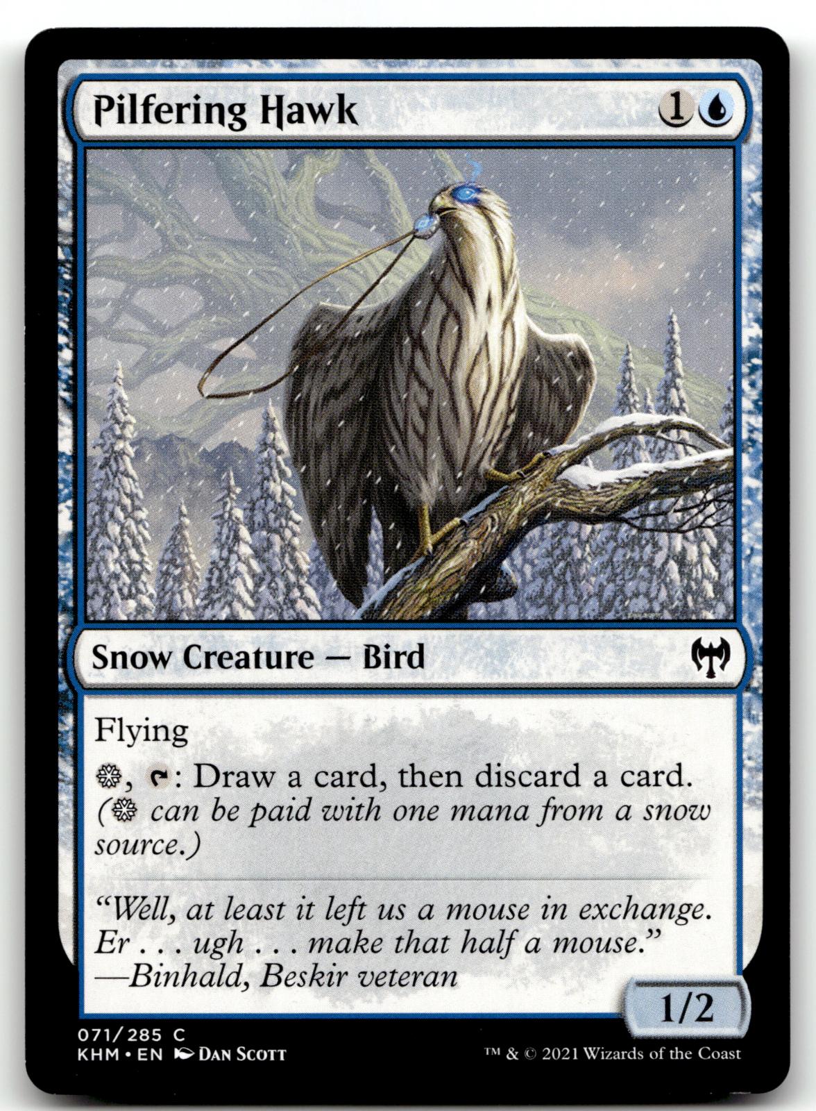 Pilfering Hawk 71 Common Kaldheim Magic: The Gathering Near Mint
