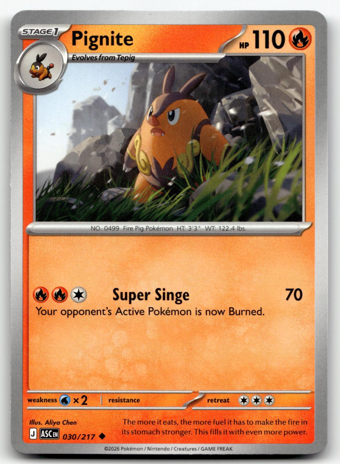 Pignite 030/217 Uncommon Ascended Heroes Pokemon Near Mint