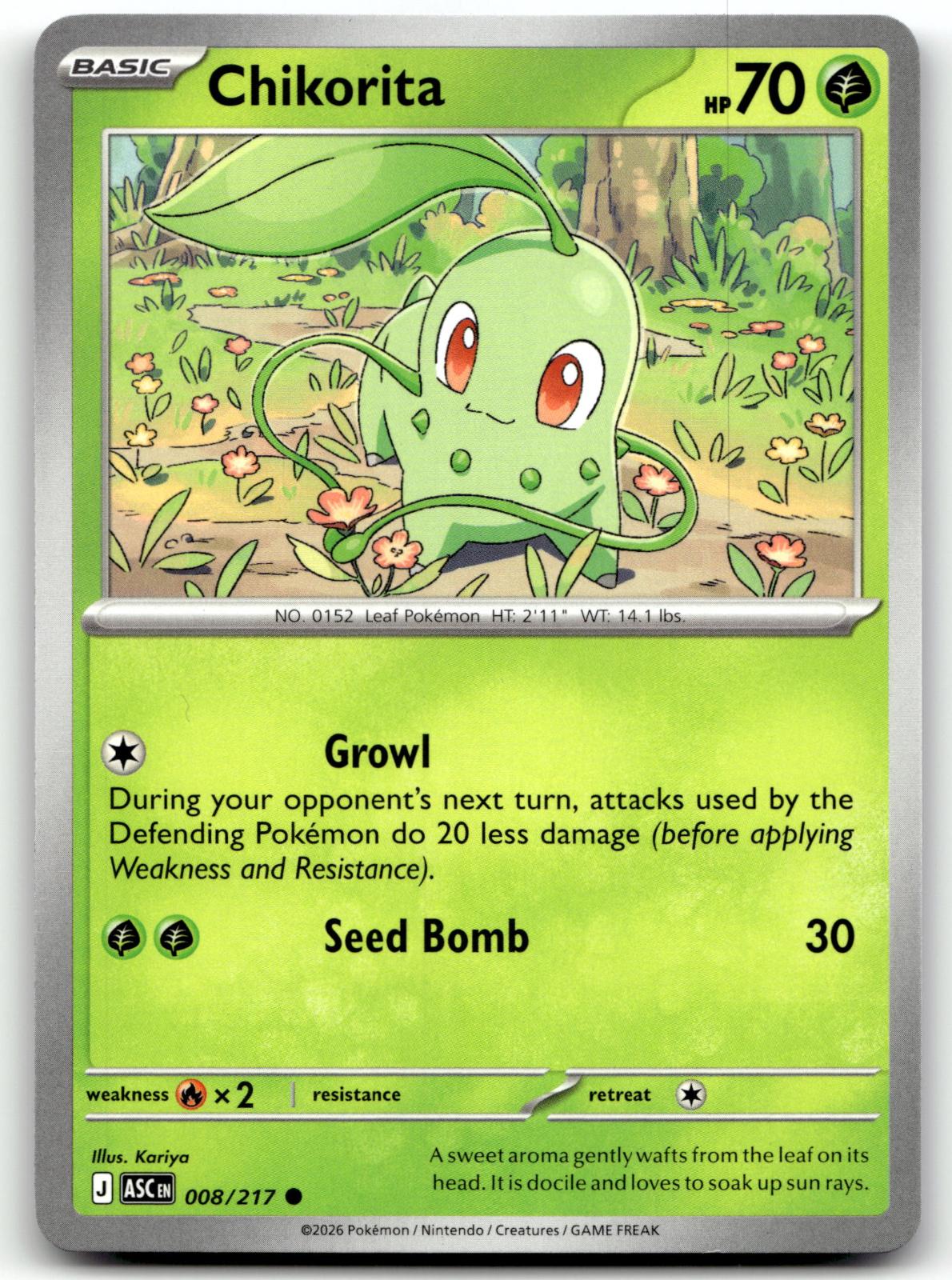 Chikorita 008/217 Common Ascended Heroes Pokemon Near Mint
