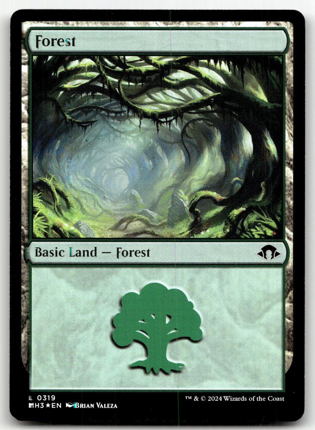 Forest (031) (GVL) 31 Land Duel Decks: Anthology Magic: The Gathering Near Mint