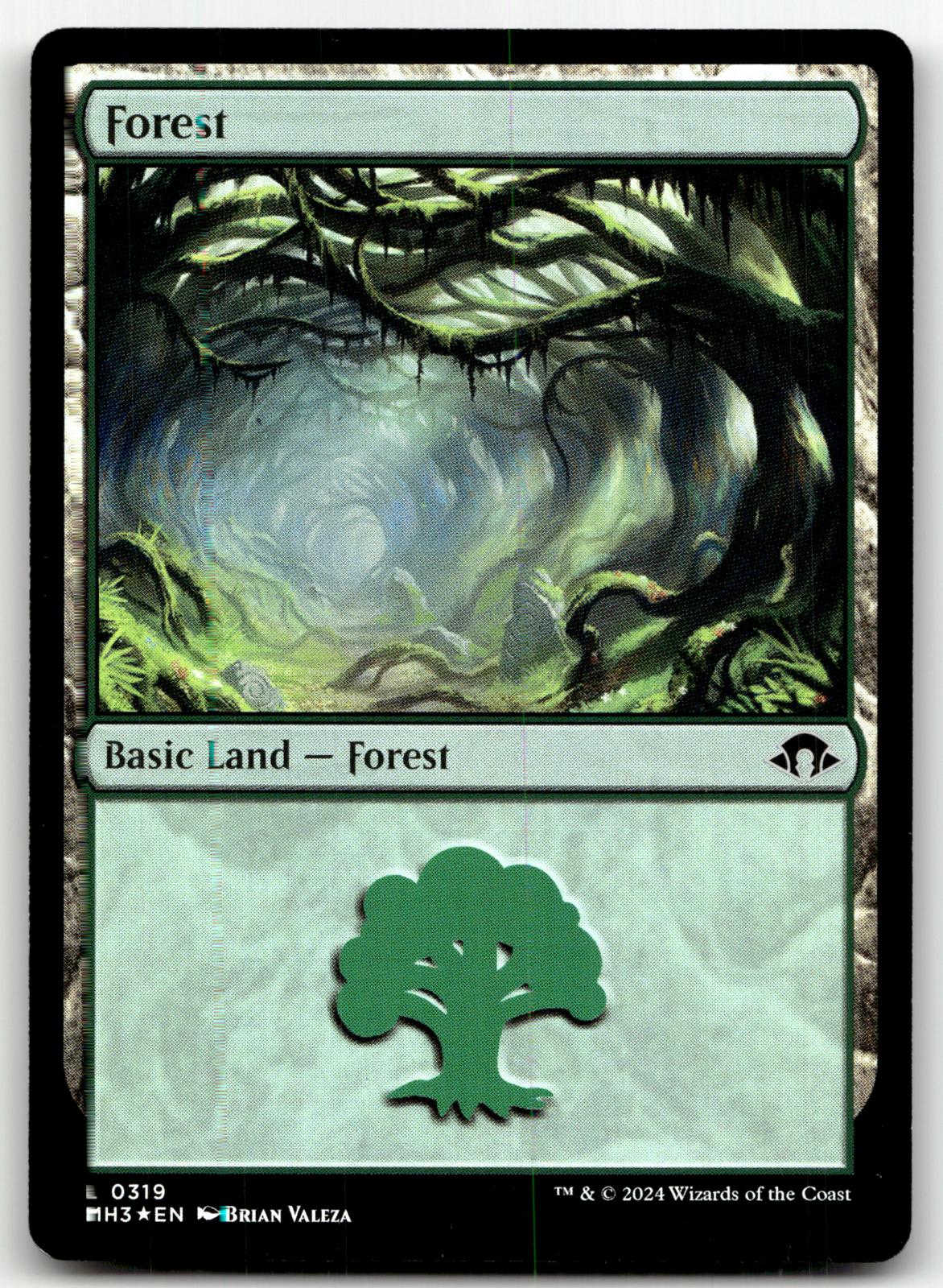Forest (031) (GVL) 31 Land Duel Decks: Anthology Magic: The Gathering Near Mint
