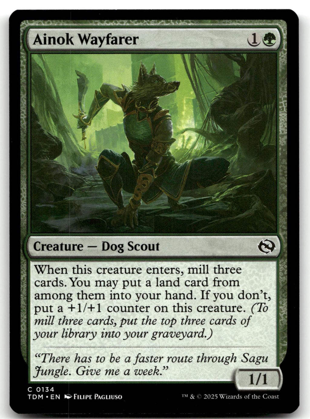 Ainok Wayfarer 134 Common Tarkir: Dragonstorm Magic: The Gathering Near Mint