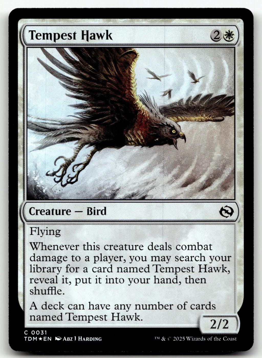 Tempest Hawk 31 Common Tarkir: Dragonstorm Magic: The Gathering Foil Near Mint