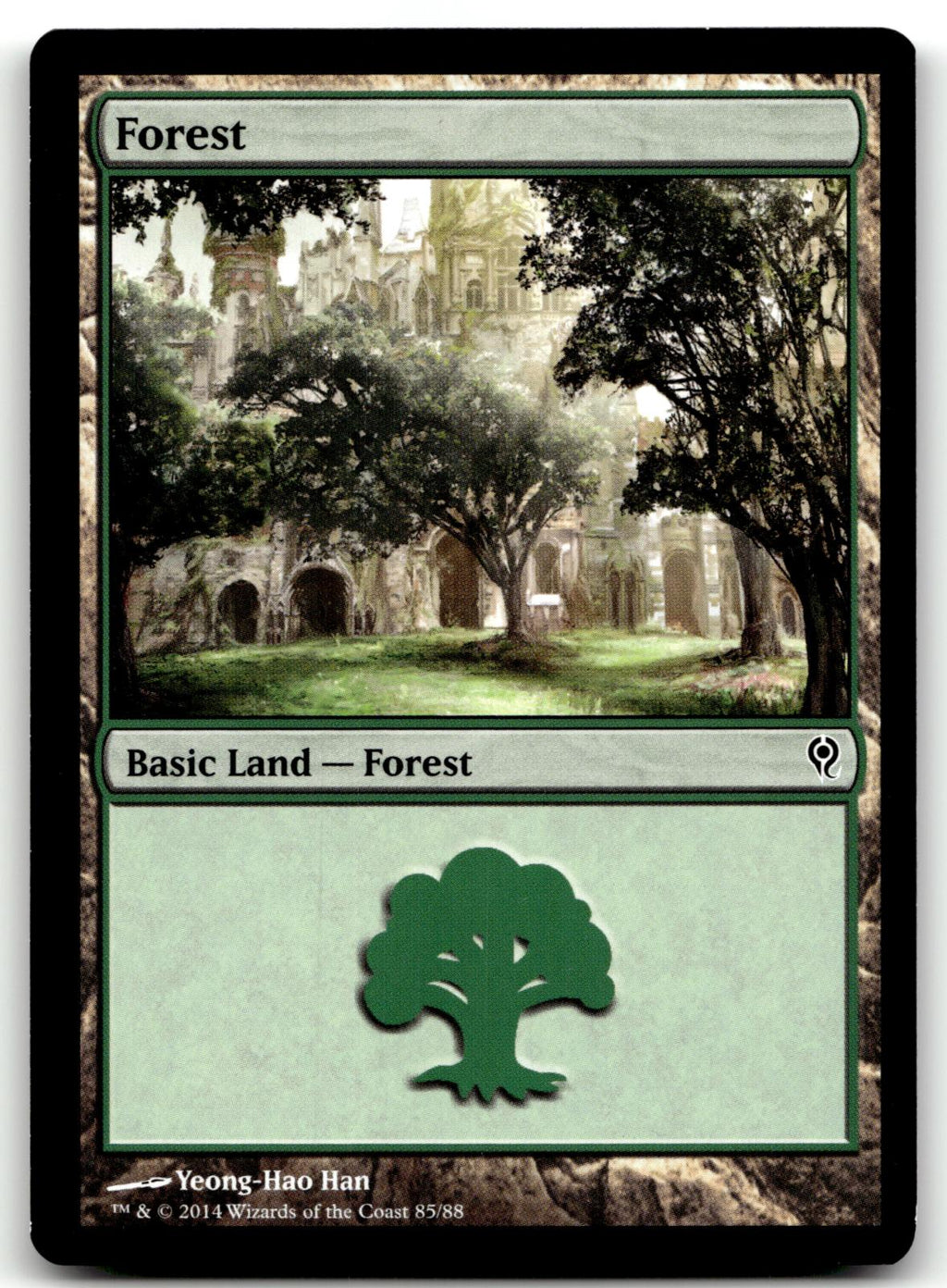 Forest (85) 85 Land Duel Decks: Jace vs. Vraska Magic: The Gathering Near Mint