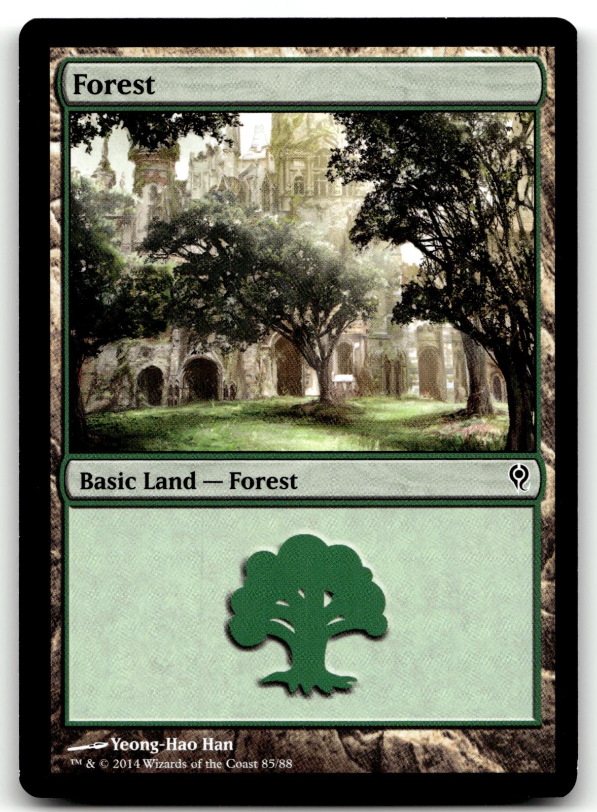 Forest (85) 85 Land Duel Decks: Jace vs. Vraska Magic: The Gathering Near Mint
