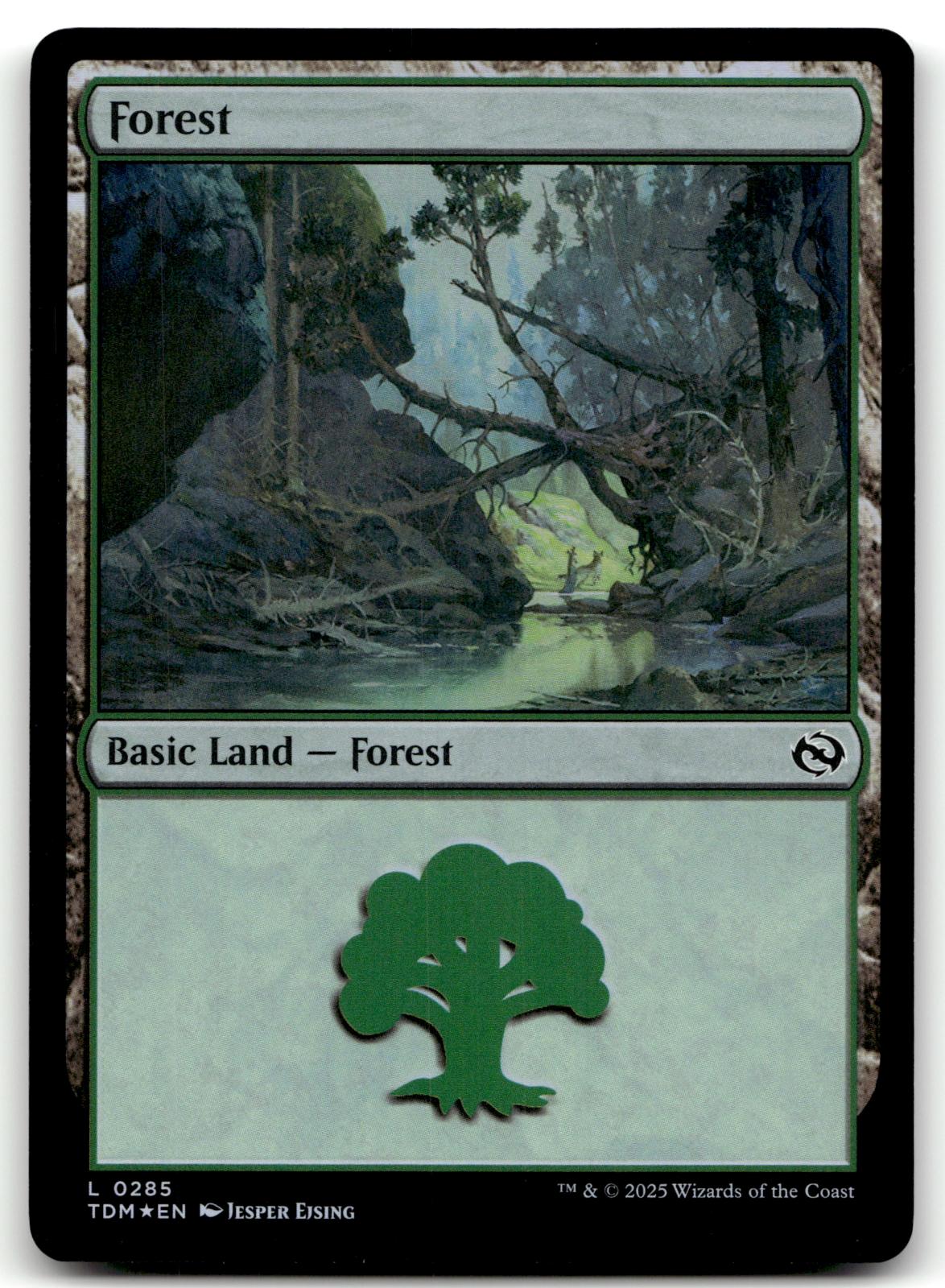 Forest (0285) 285 Land Tarkir: Dragonstorm Magic: The Gathering Foil Near Mint