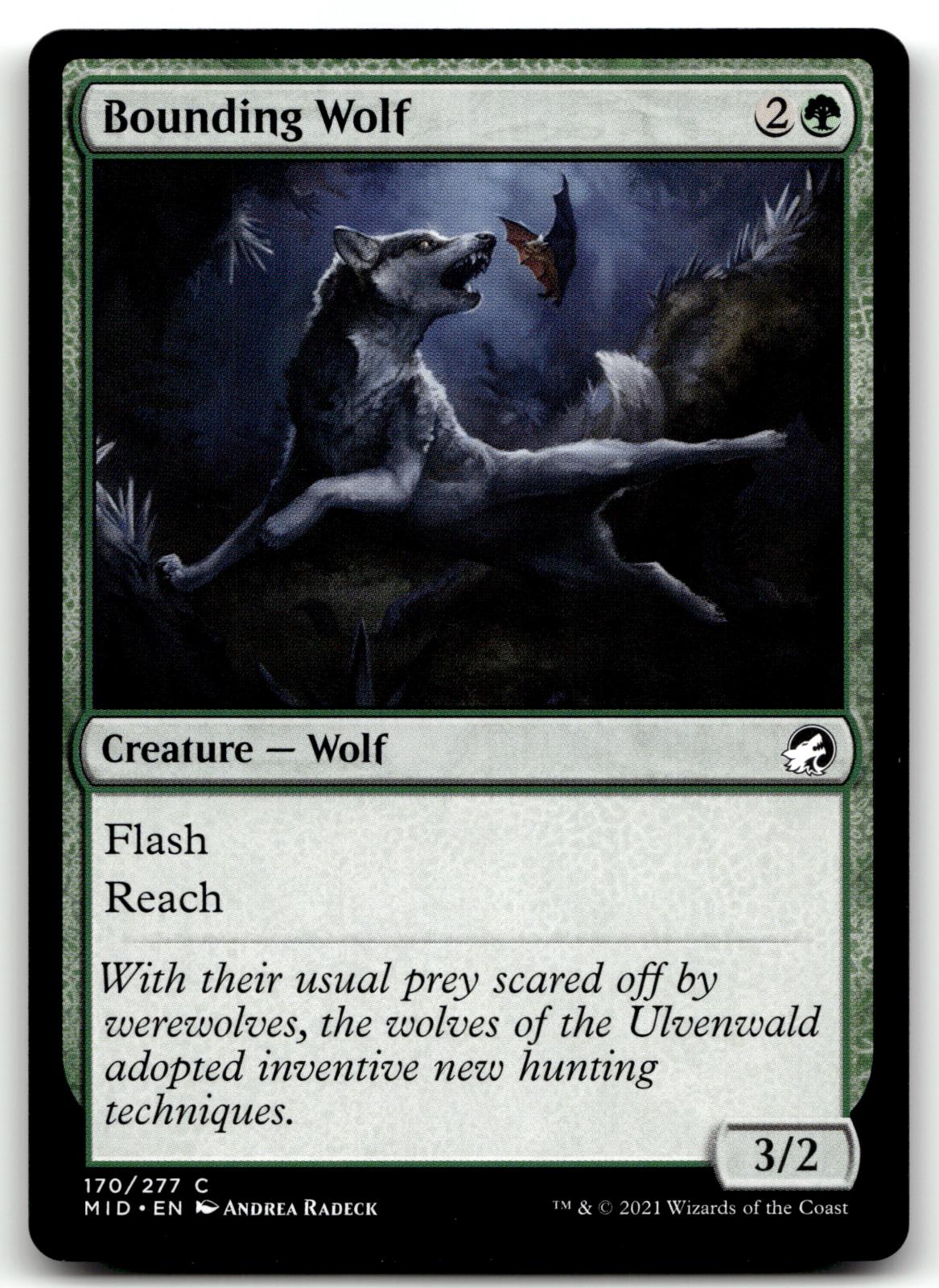 Bounding Wolf 170 Common Innistrad: Midnight Hunt Magic: The Gathering Near Mint