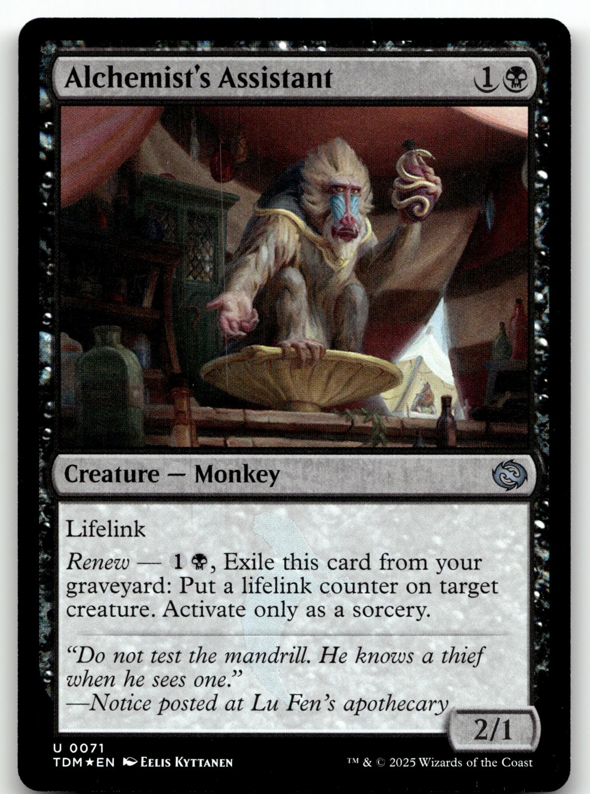 Alchemist's Assistant 71 Tarkir: Dragonstorm Magic: The Gathering Foil NM