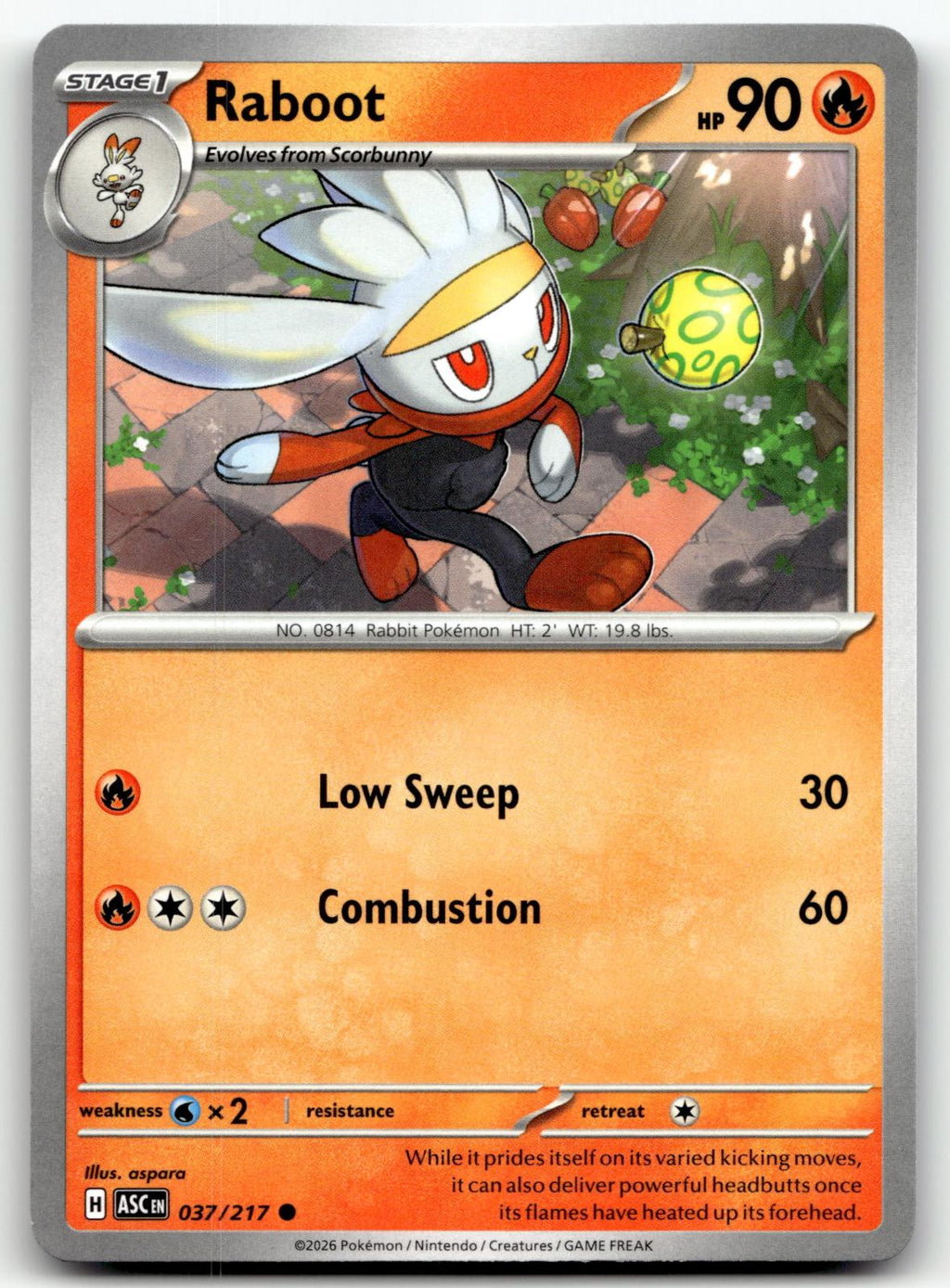 Raboot 037/217 Common Ascended Heroes Pokemon Near Mint