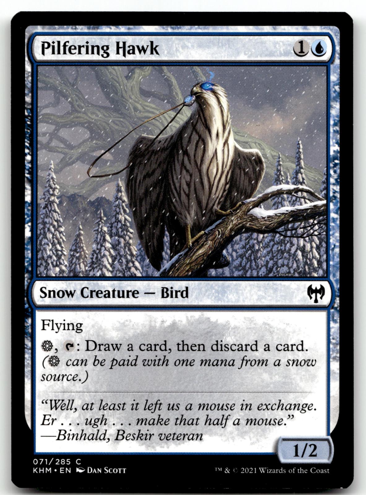 Pilfering Hawk 71 Common Kaldheim Magic: The Gathering Near Mint