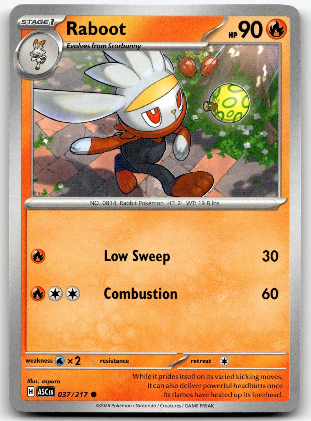 Raboot 037/217 Common Ascended Heroes Pokemon Near Mint
