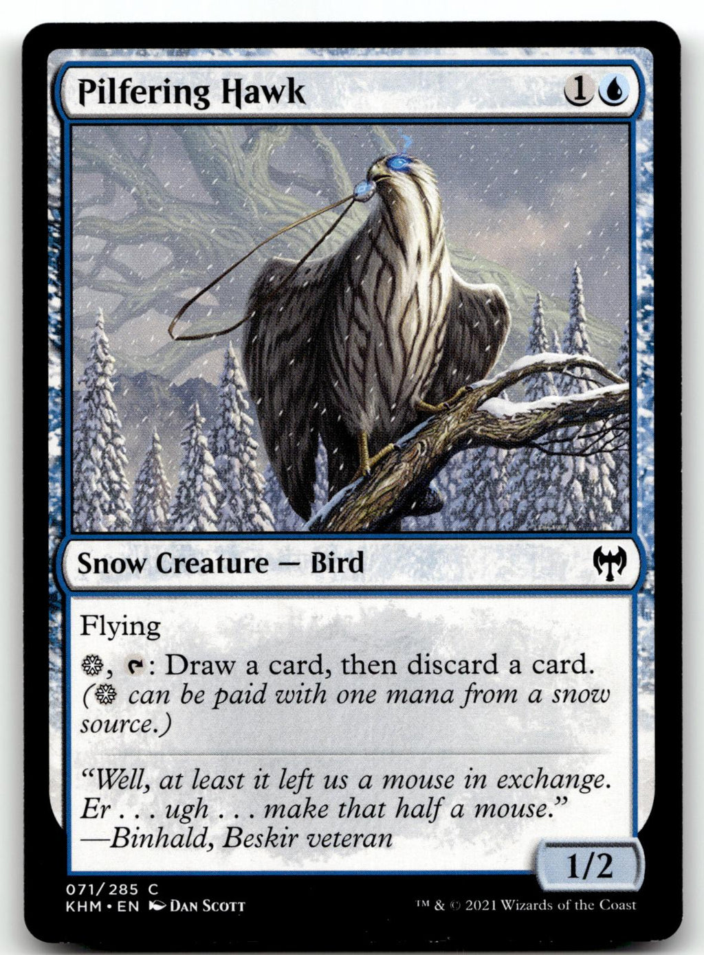 Pilfering Hawk 71 Common Kaldheim Magic: The Gathering Near Mint