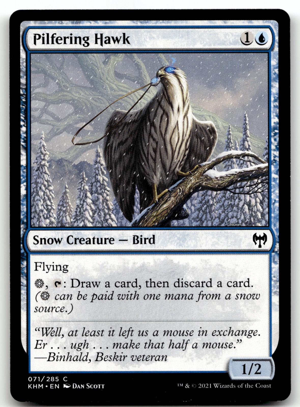 Pilfering Hawk 71 Common Kaldheim Magic: The Gathering Near Mint
