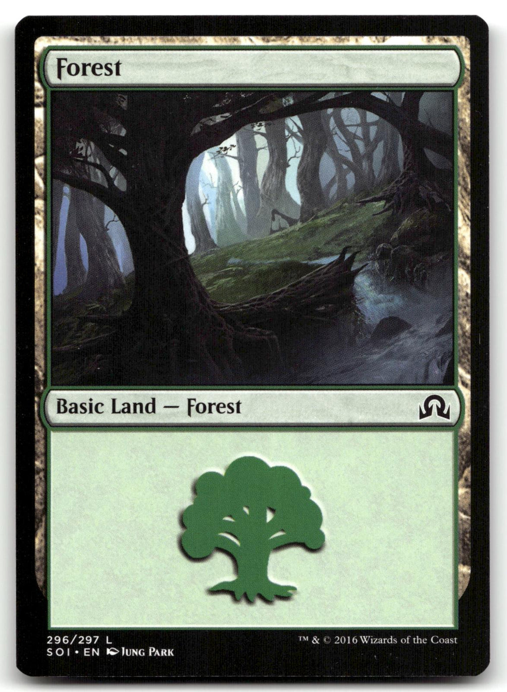 Forest (296) 296 Land Shadows over Innistrad Magic: The Gathering Near Mint