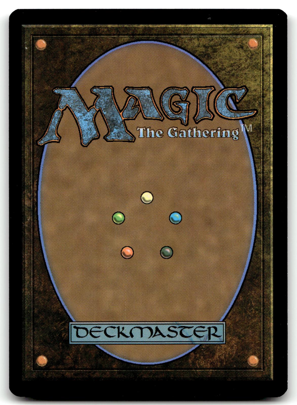 Evolving Wilds 262 Common Foundations Magic: The Gathering Near Mint