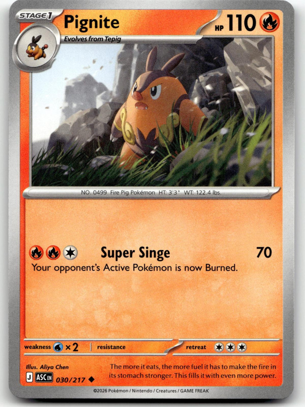 Pignite 030/217 Uncommon Ascended Heroes Pokemon Near Mint