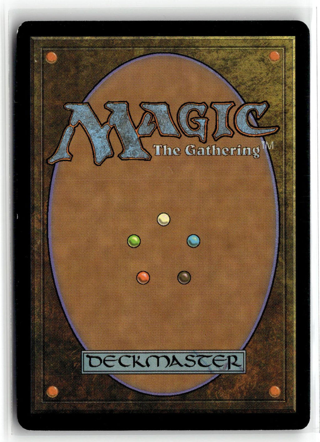 Biting Tether 29 Uncommon Shadowmoor Magic: The Gathering Near Mint