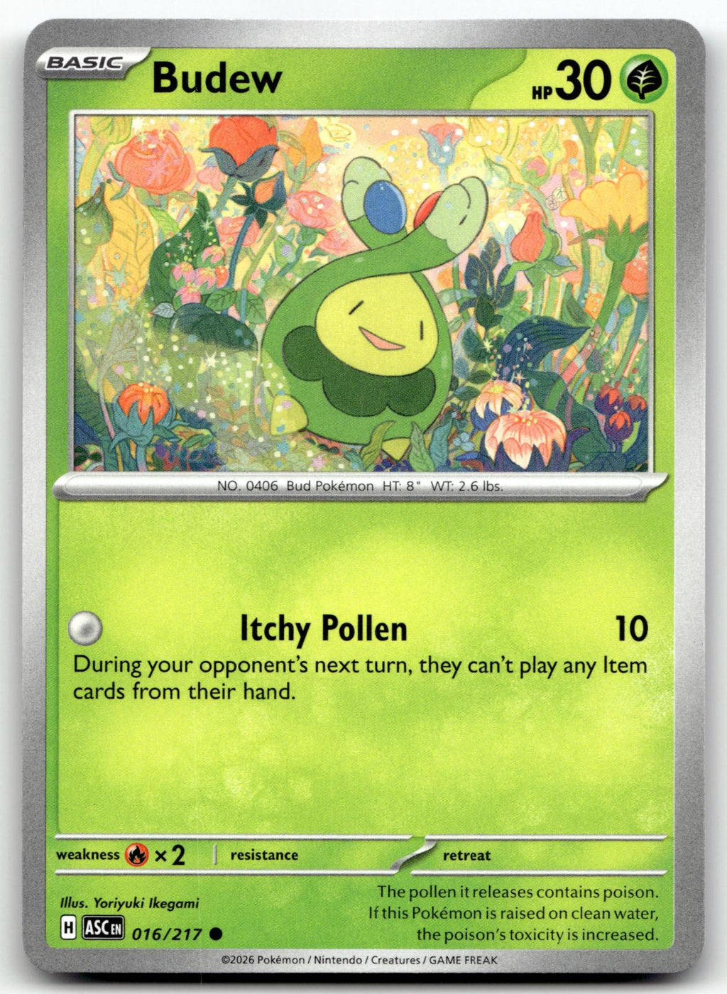 Budew 016/217 Common Ascended Heroes Pokemon Near Mint