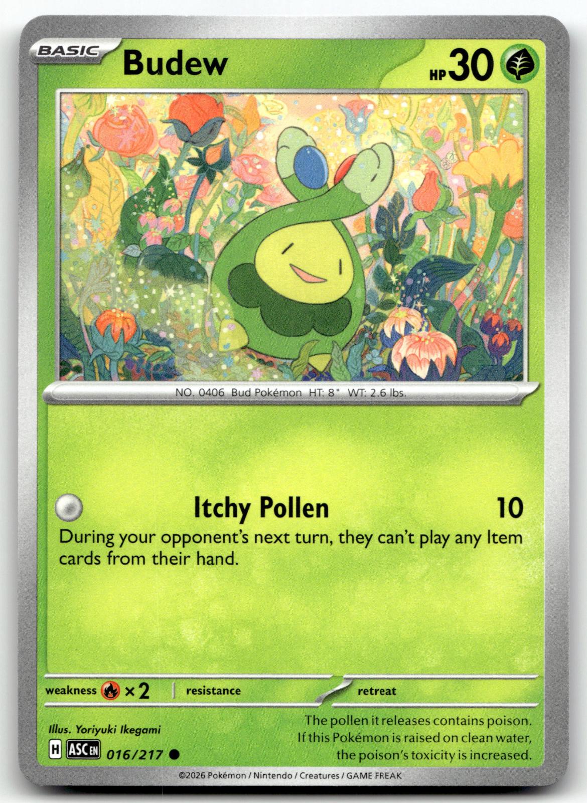 Budew 016/217 Common Ascended Heroes Pokemon Near Mint