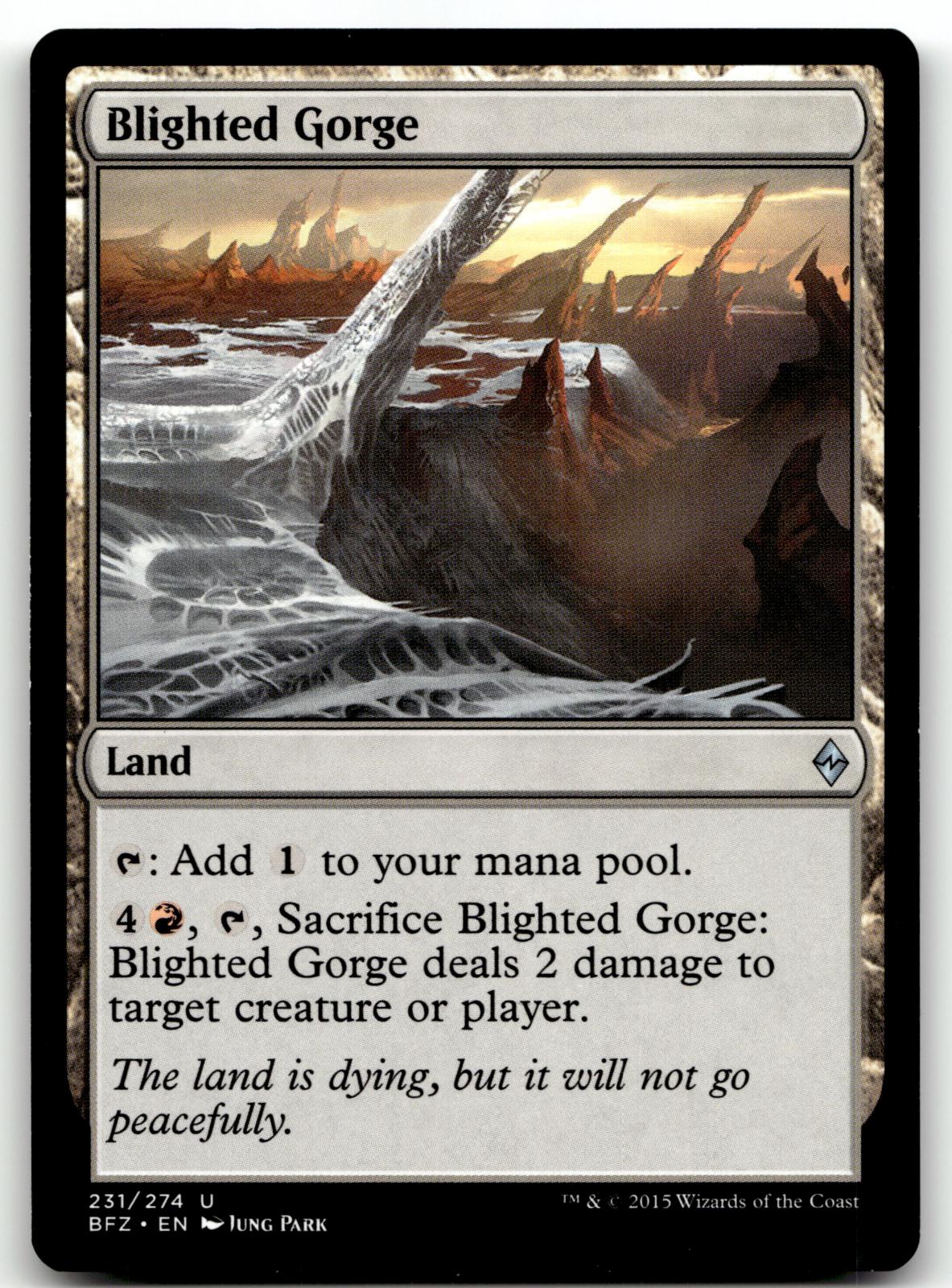 Blighted Gorge 231 Uncommon Battle for Zendikar Magic: The Gathering Near Mint
