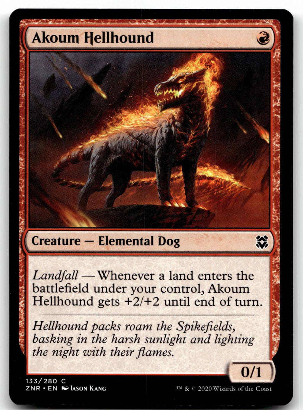 Akoum Hellhound 133 Common Zendikar Rising Magic: The Gathering Near Mint