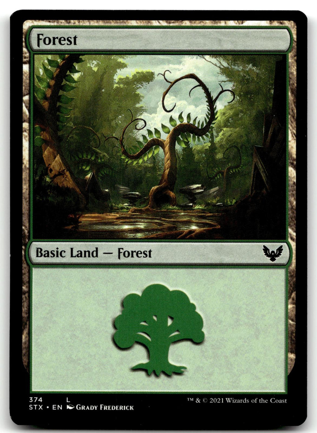 Forest (374) 374 Land Strixhaven: School of Mages Magic: The Gathering Near Mint