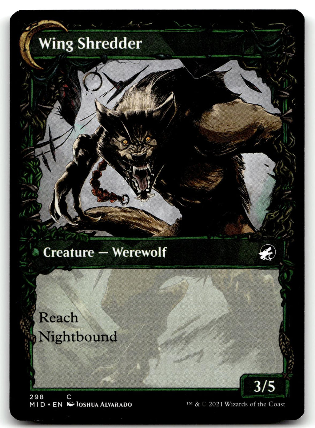 Bird Admirer (Showcase) 298 Innistrad: Midnight Hunt Magic: The Gathering NM
