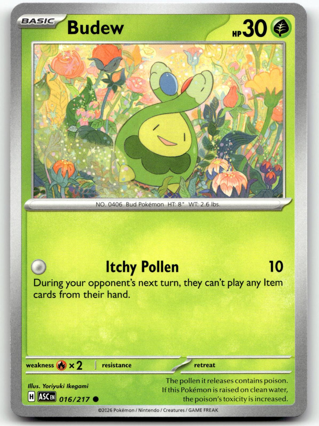 Budew 016/217 Common Ascended Heroes Pokemon Near Mint