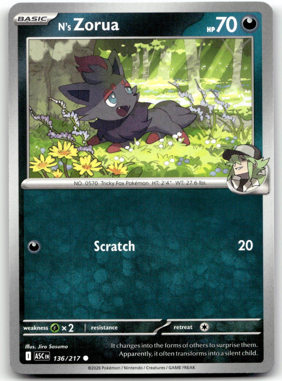 N's Zorua 136/217 Common Ascended Heroes Pokemon Near Mint