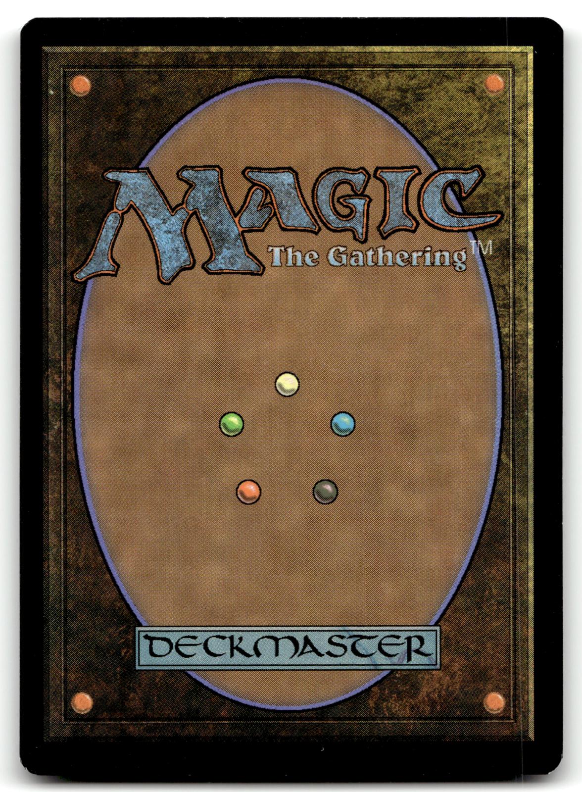 Forest (374) 374 Land Strixhaven: School of Mages Magic: The Gathering Near Mint