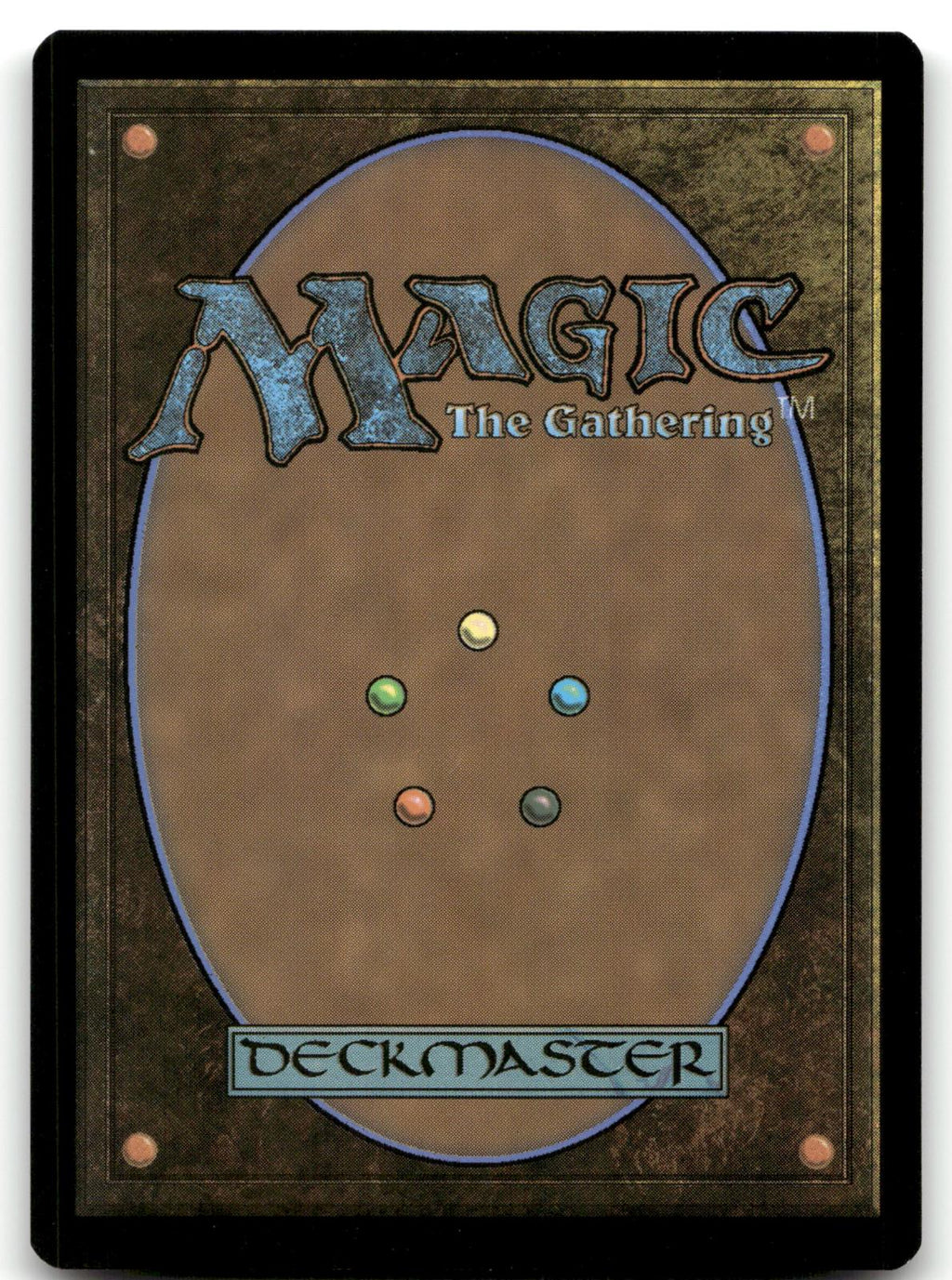 Ainok Wayfarer 134 Common Tarkir: Dragonstorm Magic: The Gathering Near Mint