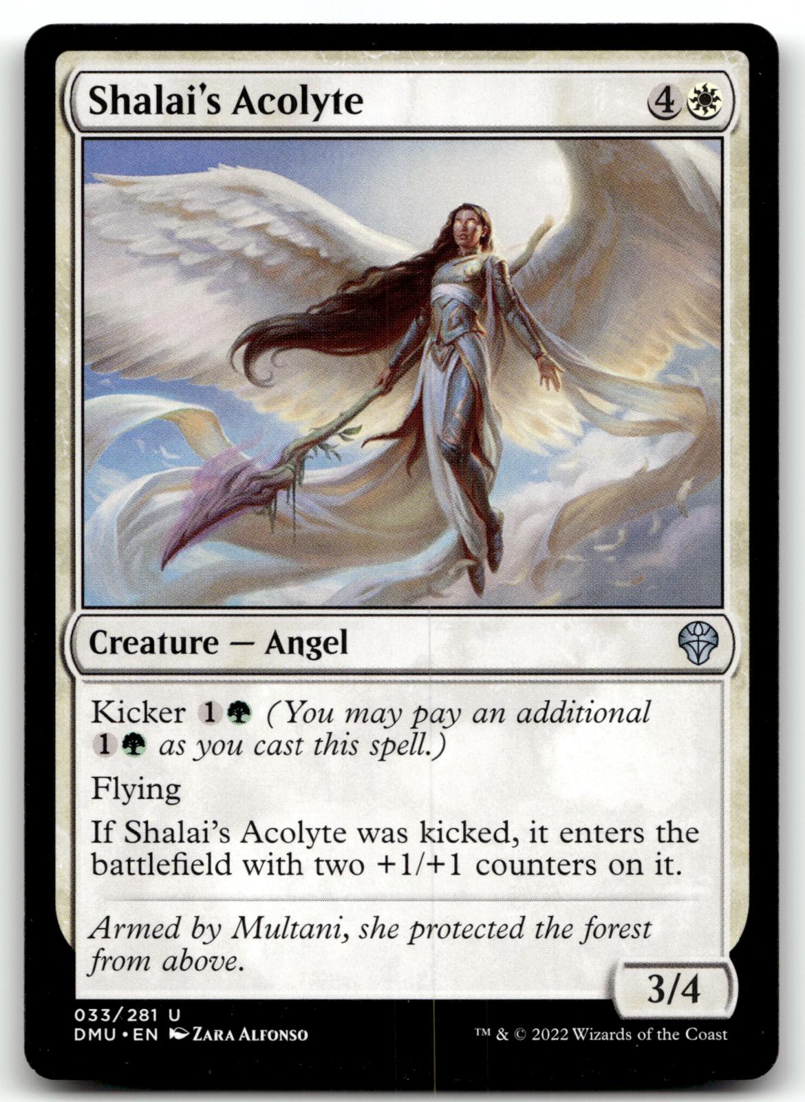 Shalai's Acolyte 33 Uncommon Dominaria United Magic: The Gathering Near Mint