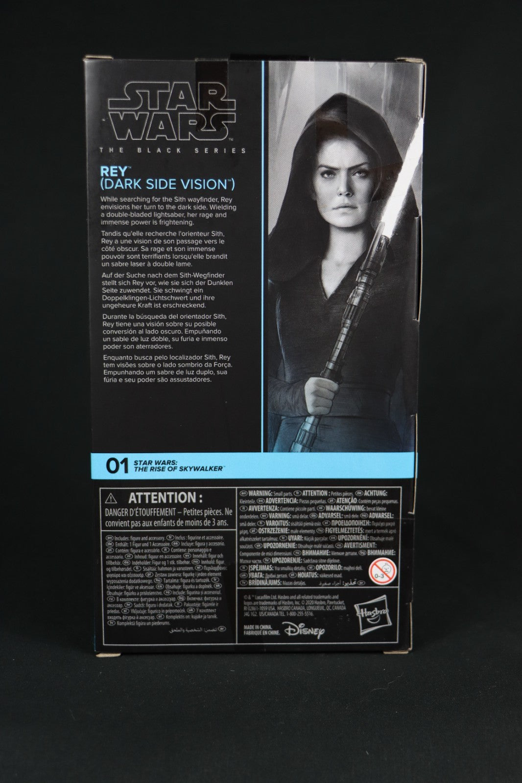 Star Wars The Black Series Dark Side Rey Action Figure