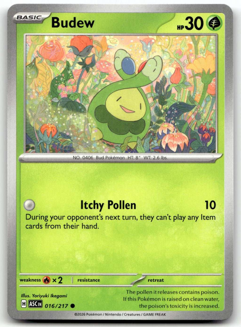 Budew 016/217 Common Ascended Heroes Pokemon Near Mint