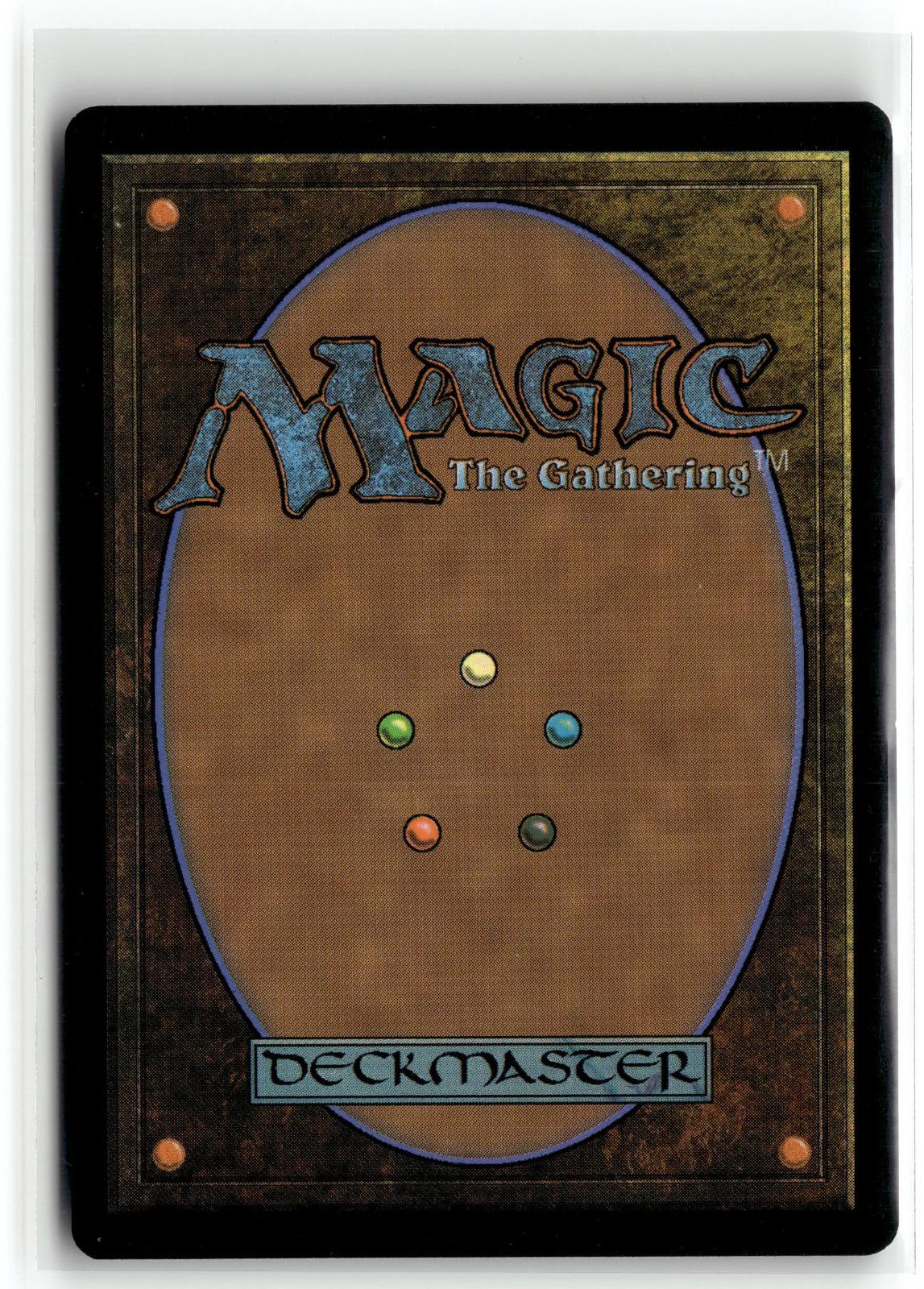 Forest (Crushing Brutality) 243 Secret Lair Drop Series Magic: The Gathering NM