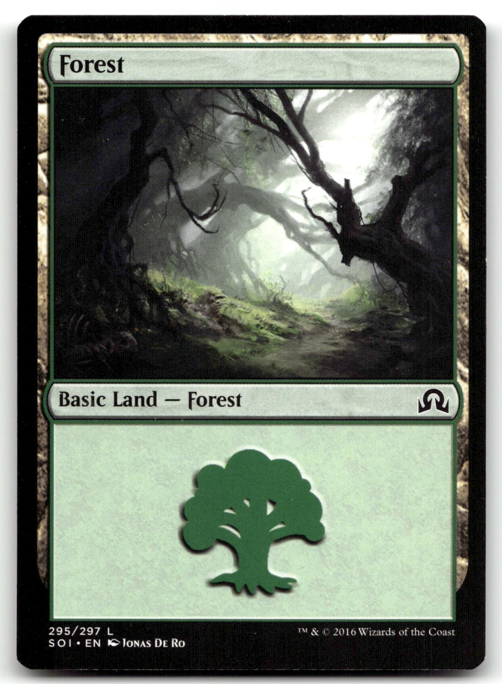 Forest (295) 295 Land Shadows over Innistrad Magic: The Gathering Near Mint