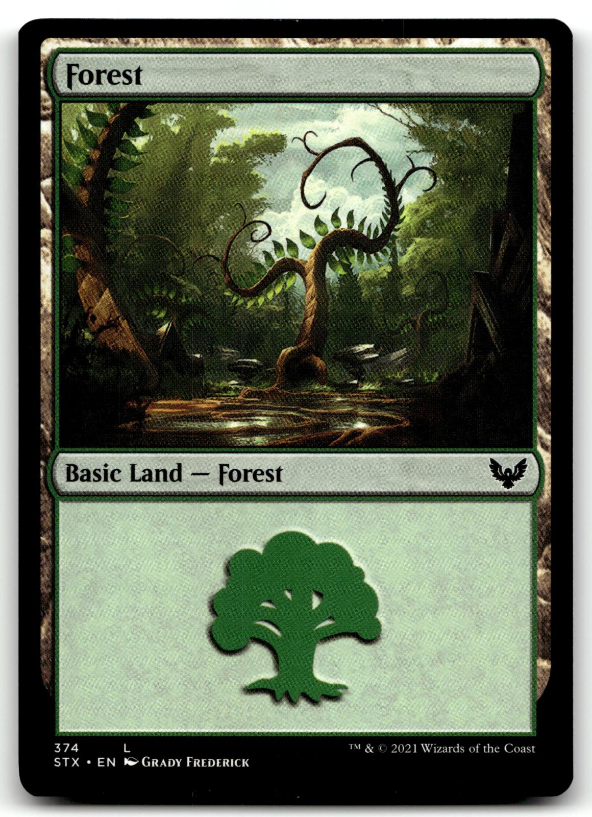 Forest (374) 374 Land Strixhaven: School of Mages Magic: The Gathering Near Mint