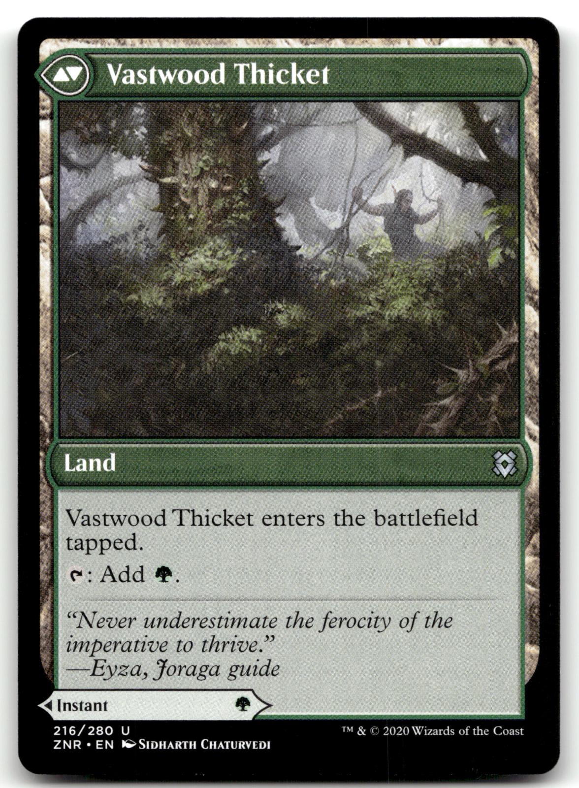 Vastwood Fortification 216 Uncommon Zendikar Rising Magic: The Gathering NM