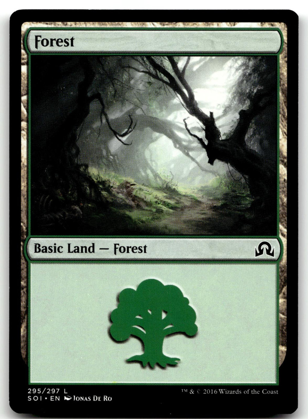 Forest (295) 295 Land Shadows over Innistrad Magic: The Gathering Near Mint