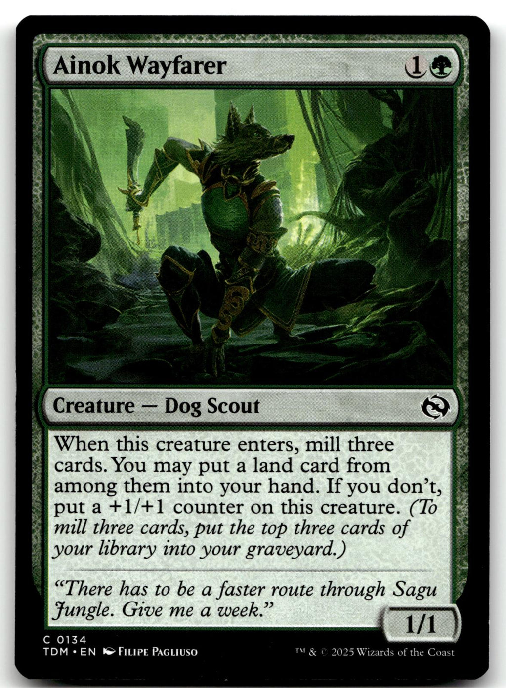Ainok Wayfarer 134 Common Tarkir: Dragonstorm Magic: The Gathering Near Mint