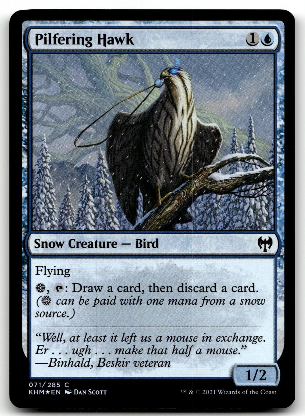 Pilfering Hawk 71 Common Kaldheim Magic: The Gathering Foil Near Mint
