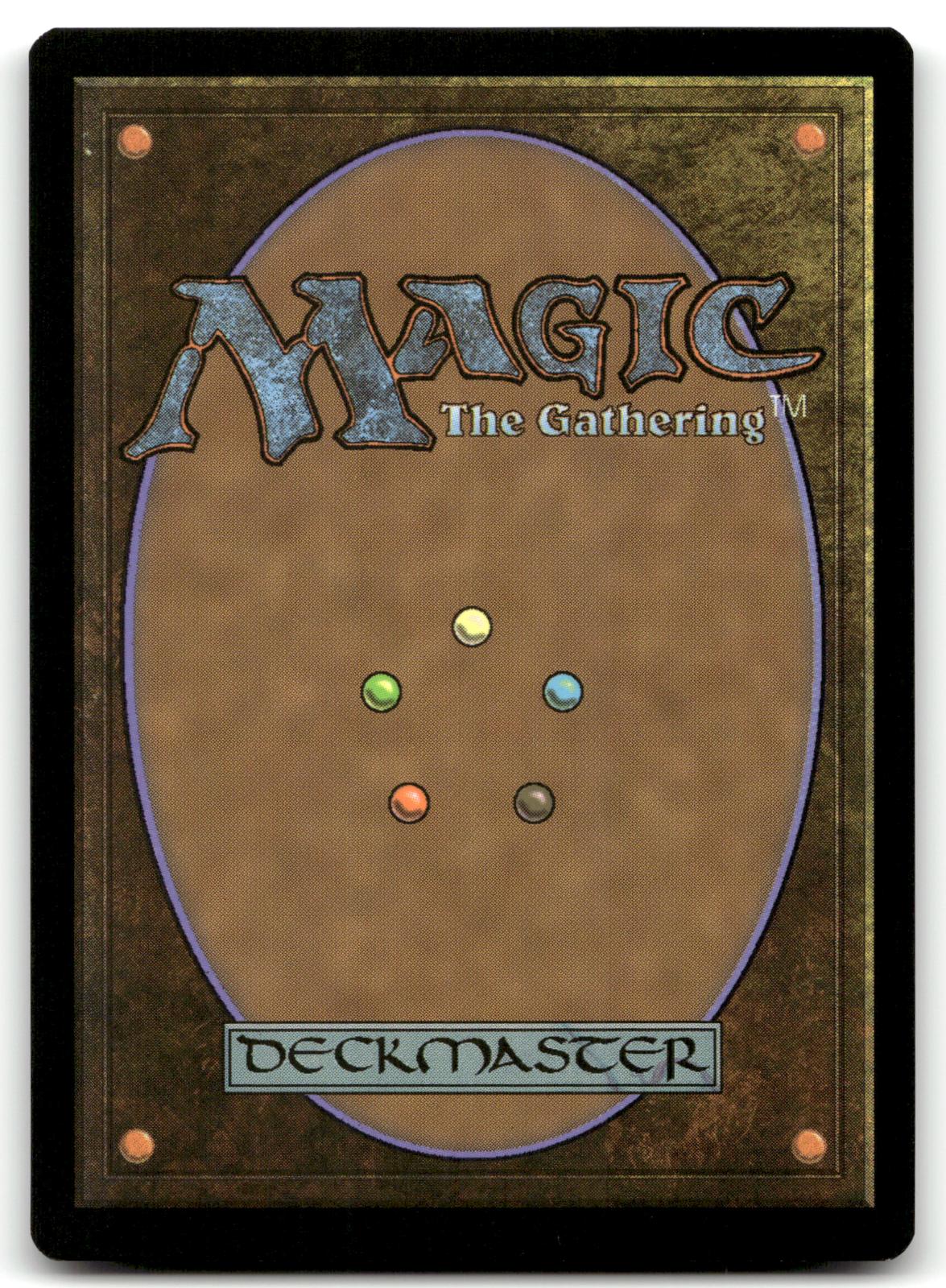 Forest (300) 300 Land Commander 2019 Magic: The Gathering Near Mint