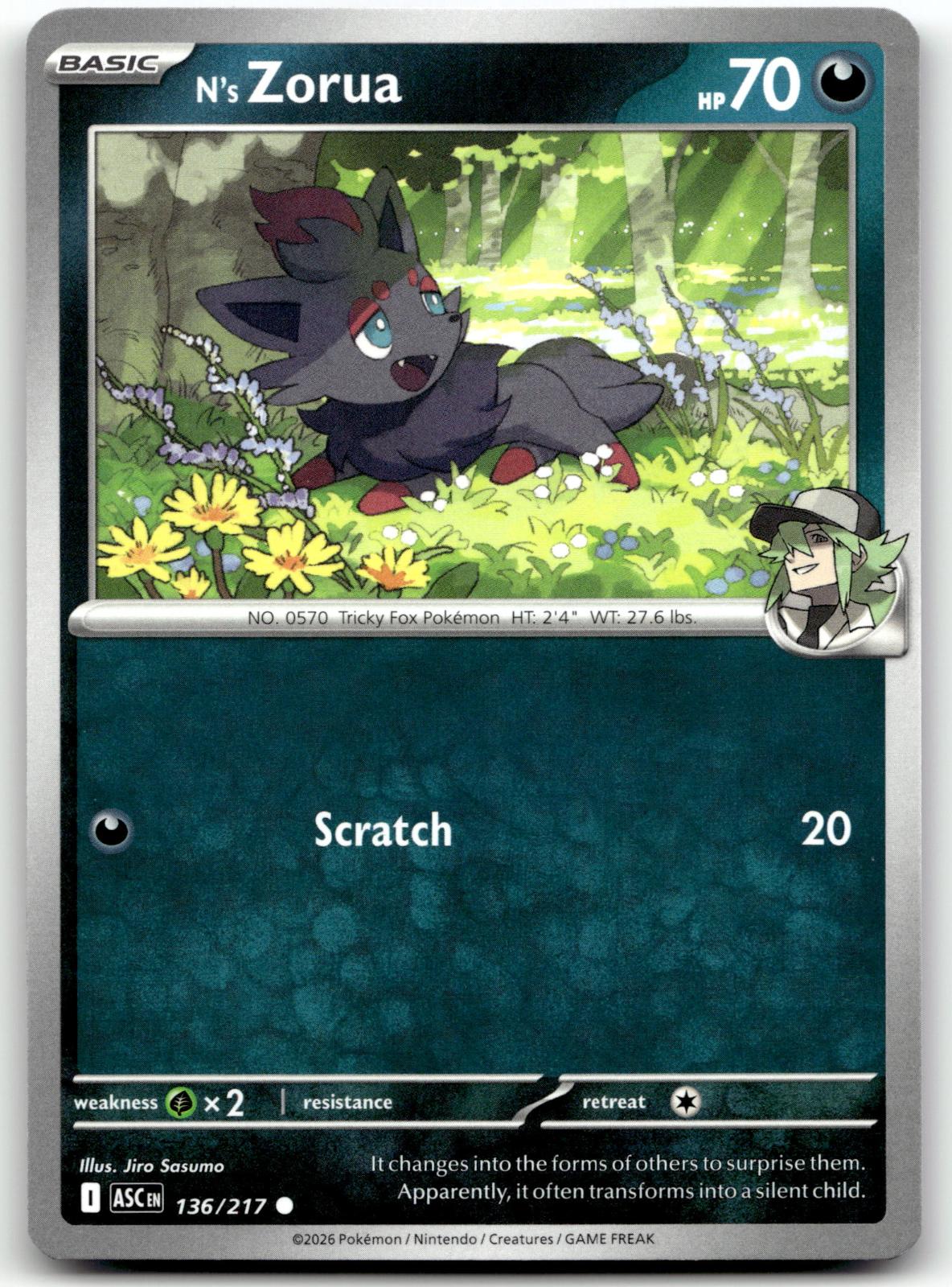 N's Zorua 136/217 Common Ascended Heroes Pokemon Near Mint