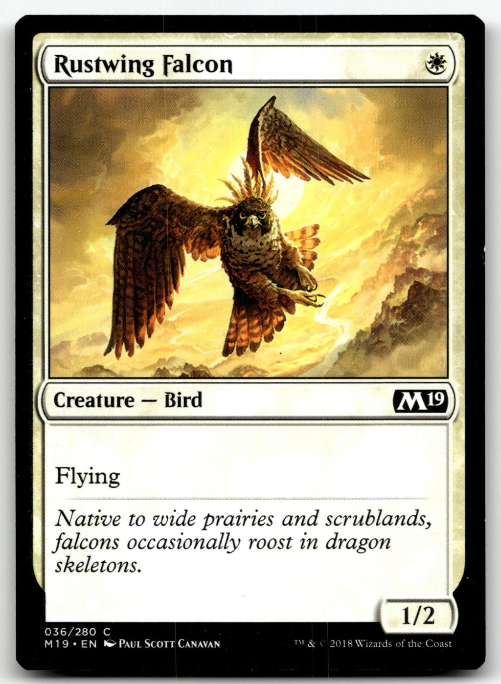 Rustwing Falcon 36 Common Core Set 2019 Magic: The Gathering Near Mint