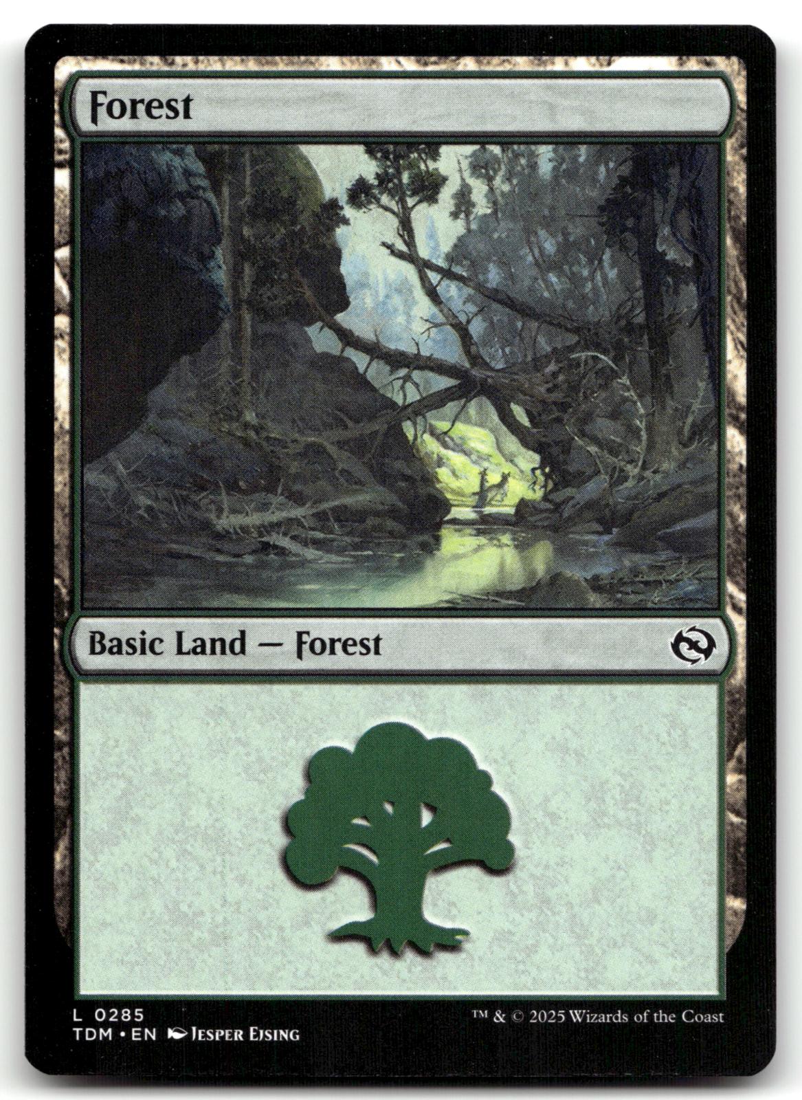 Forest (0285) 285 Land Tarkir: Dragonstorm Magic: The Gathering Near Mint