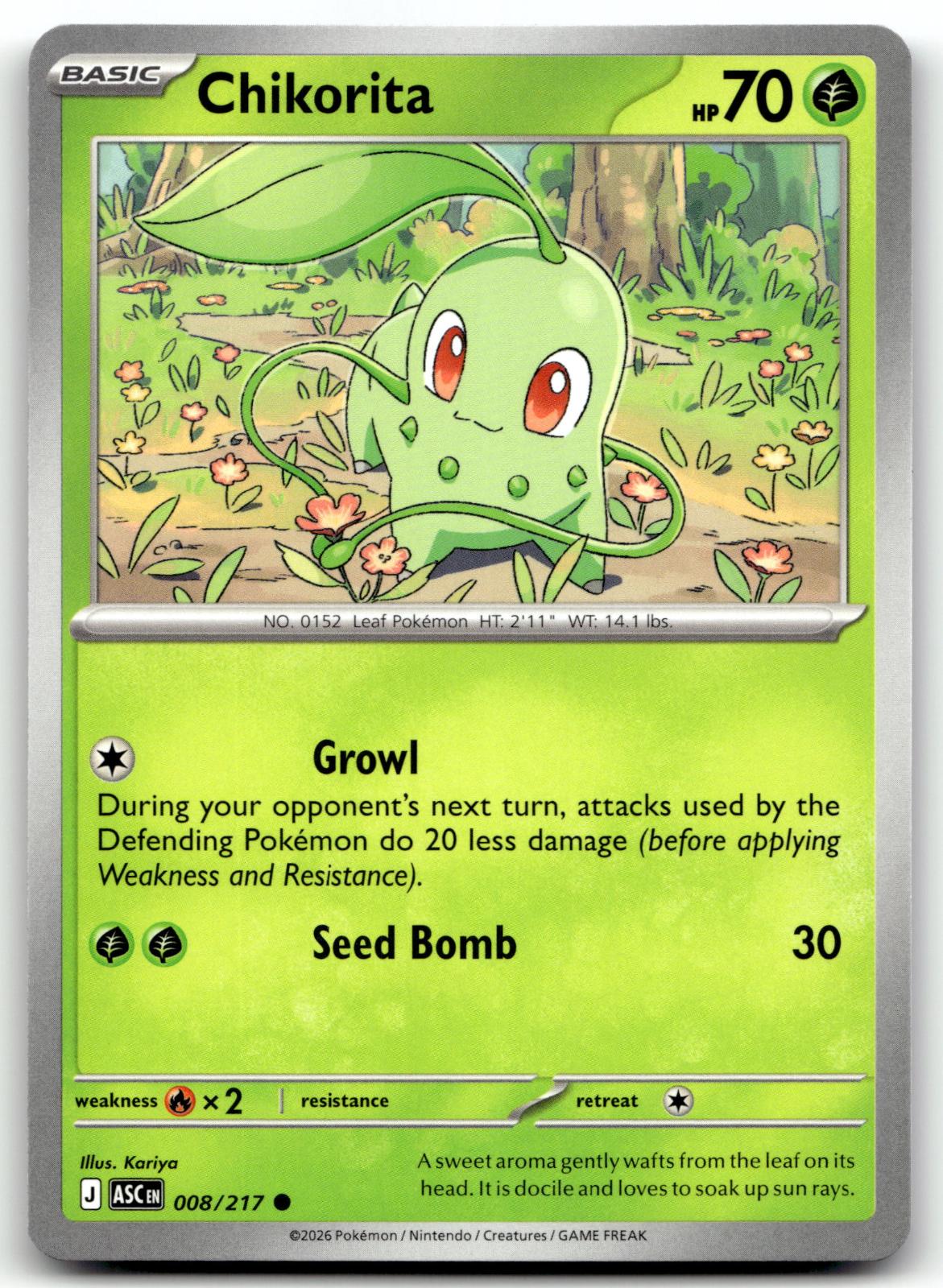 Chikorita 008/217 Common Ascended Heroes Pokemon Near Mint