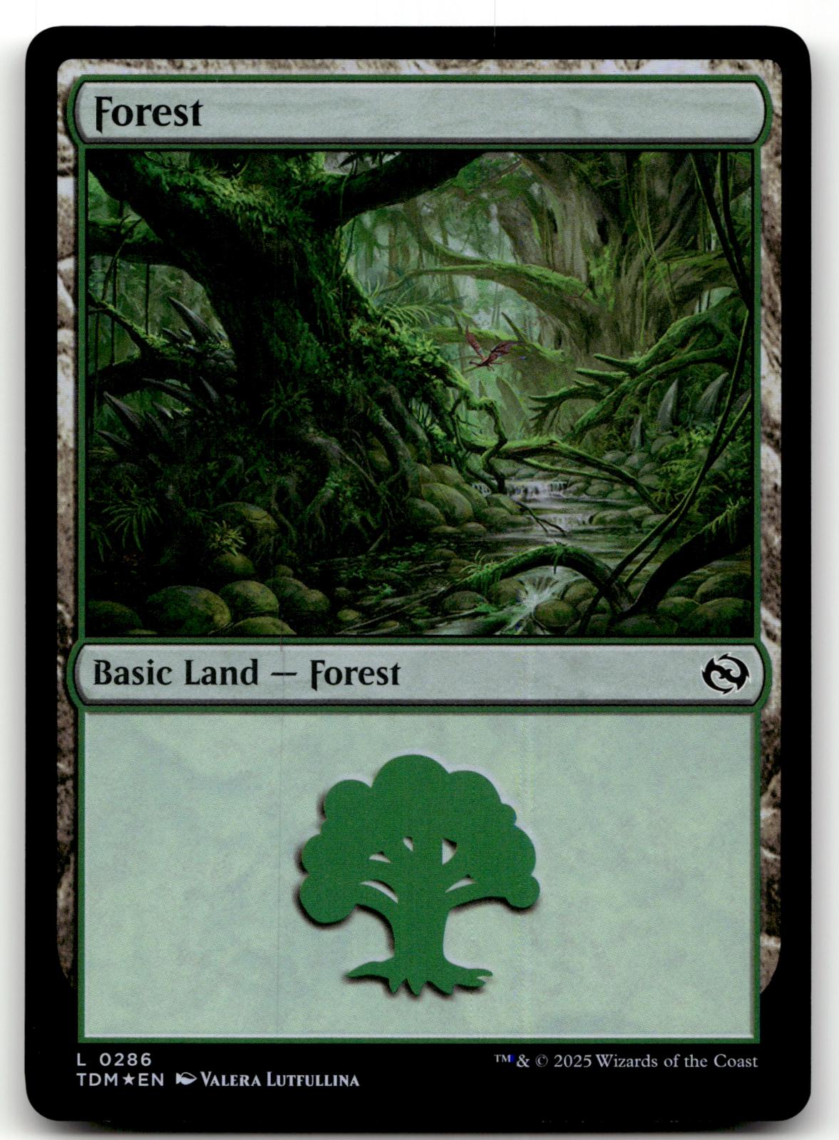 Forest (0286) 286 Land Tarkir: Dragonstorm Magic: The Gathering Near Mint