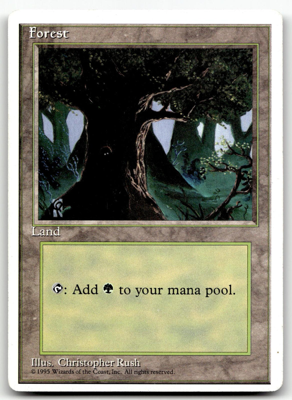 Forest (C) 176 Land Fourth Edition Magic: The Gathering Near Mint